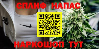 крисы Кингисепп