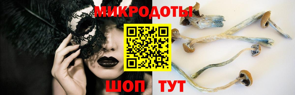 Галлюциногенные грибы Cubensis Краснодар